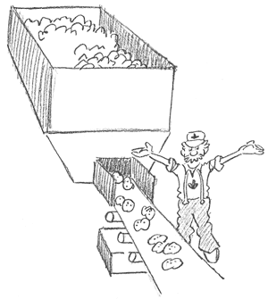 Potatoes on a conveyor belt